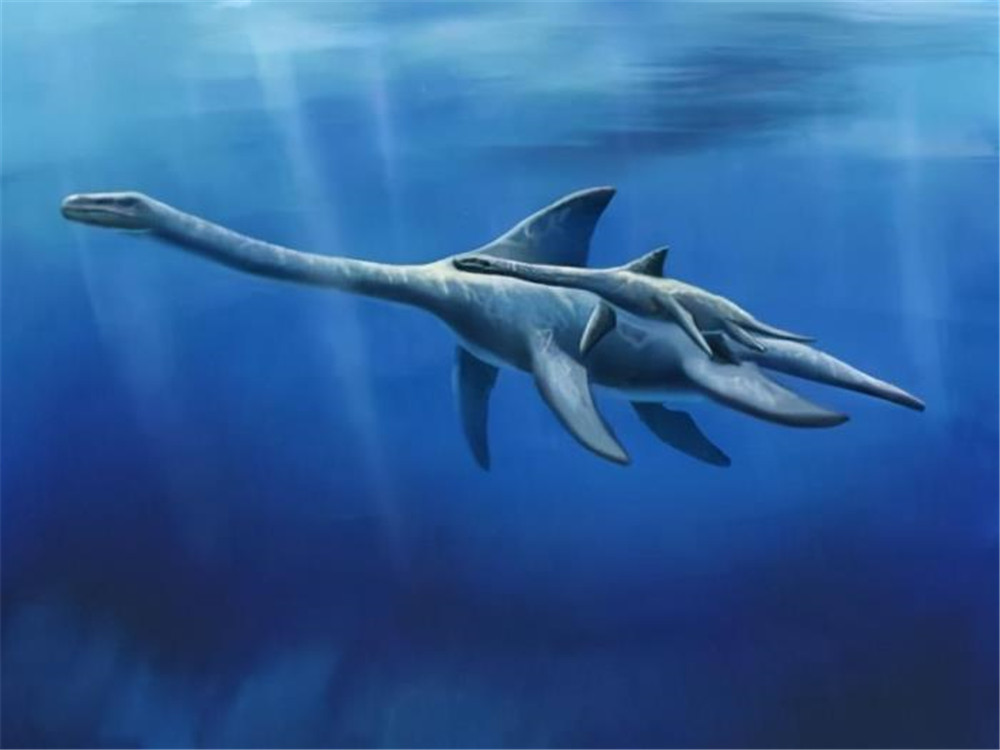 青海湖水怪最新报道,青海湖里湖怪是何物