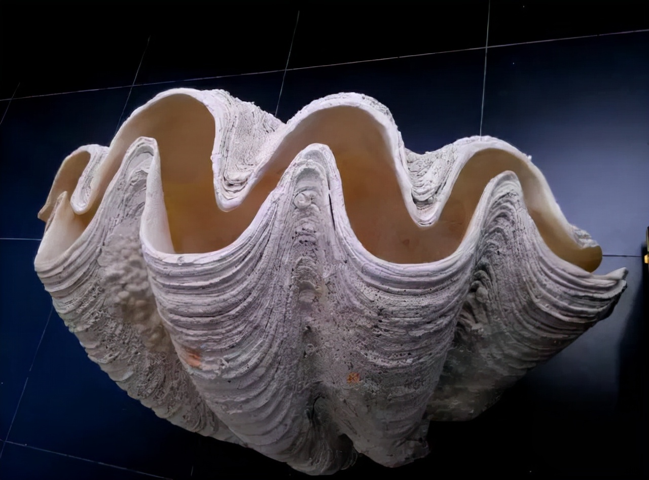 清朝官帽上的珠子值不值钱,清代官员的官帽上有黑珠是几品官