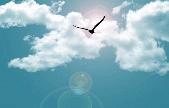 搜索引擎快照怎么去掉,搜索引擎快照更新方法