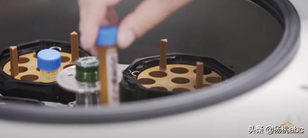 提前警告还不改？这些卖假进口蜂蜜的牌子都被罚款上百万