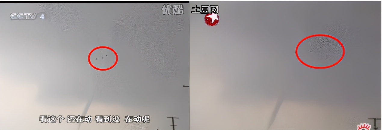 世上真的有龙吗2016,世上真的有龙吗电影