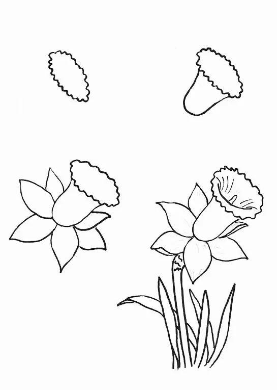 白描各种花朵,花朵白描图片大全大图