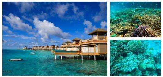 湛江马尔代夫旅游攻略,保定马尔代夫旅游攻略