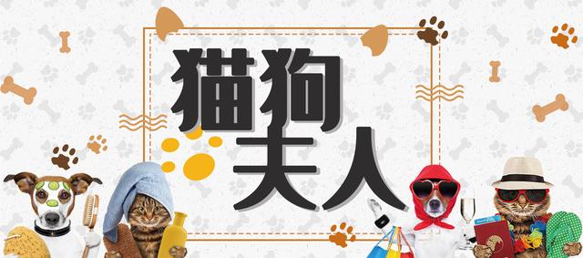 犬膈疝,犬膈疝最佳治疗方法