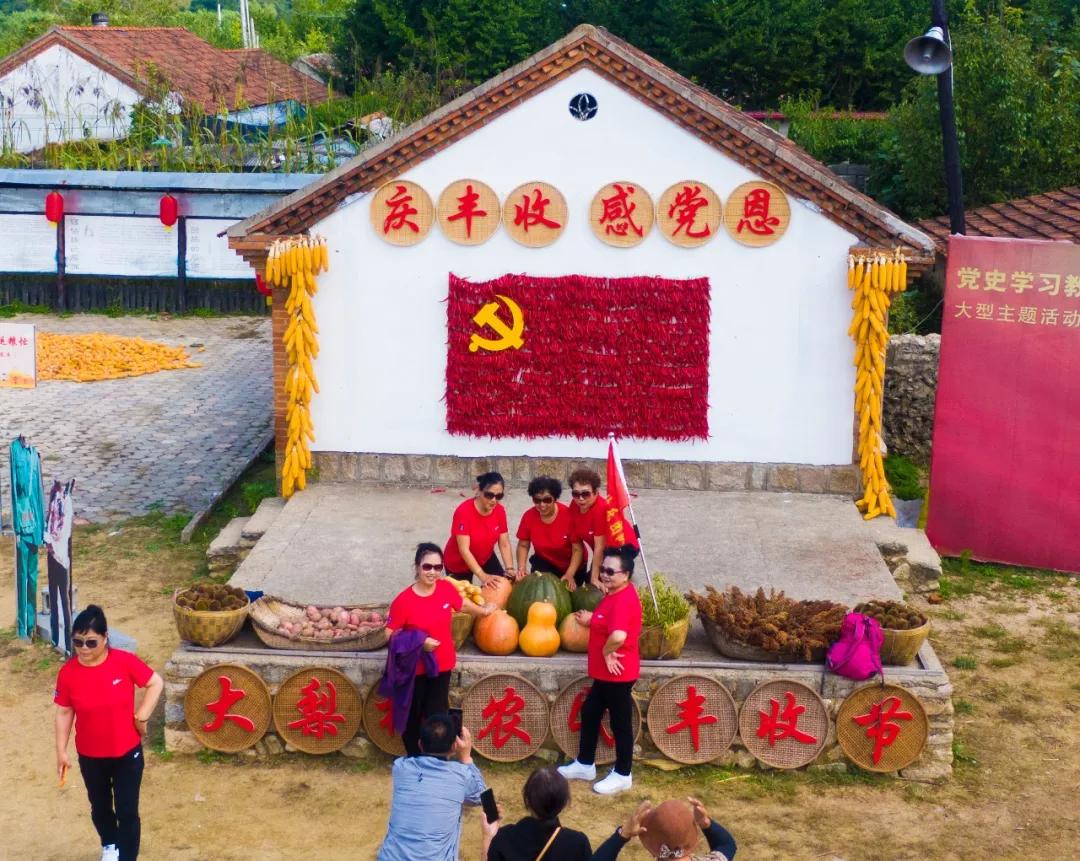 祖国颂|走进大梨树看小康