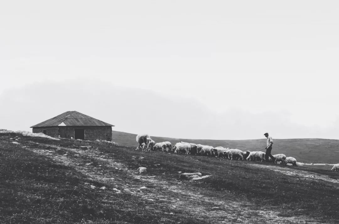 摄影小白适合拍什么,摄影小白拍人像用什么好