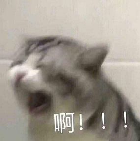 众星力挺周杰伦,众星力挺星爷