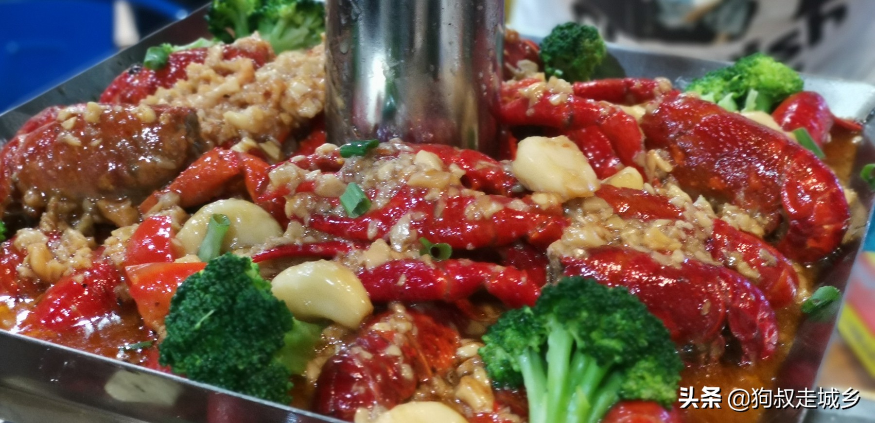 四川南充：这家网红霸王虾，让狗叔“丢人现眼”啊！