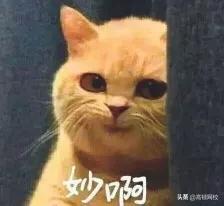 揭秘丨3分钟看懂投行、银行投行部、券商投行部的区别