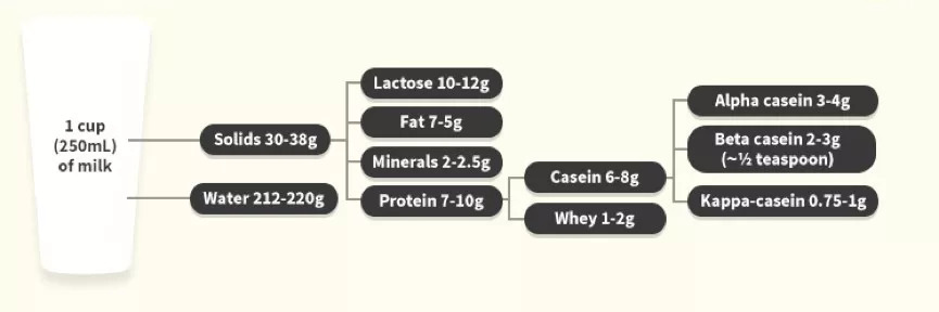 深扒a2奶粉,深扒蒙牛伊利牛奶最新信息
