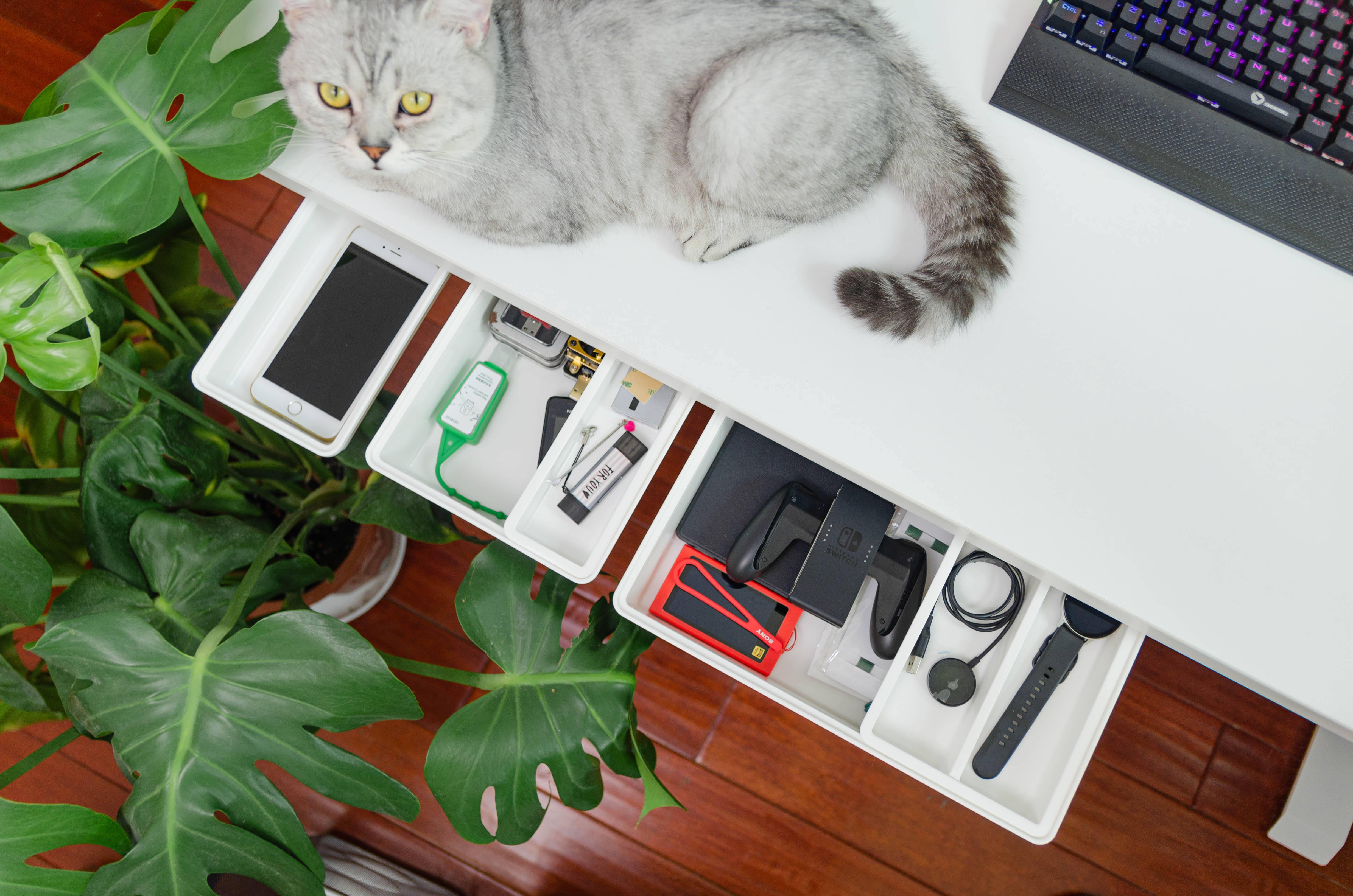 不花冤枉钱,不花冤枉钱性价比高