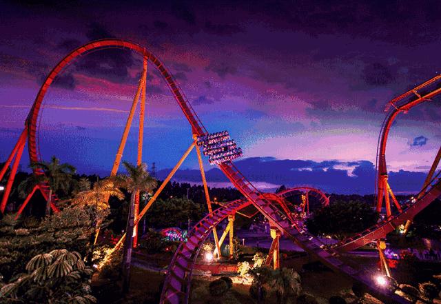 广州长隆野生动物世界附近的酒店,广州长隆酒店福利待遇