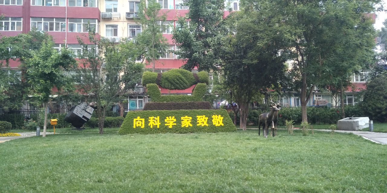 小文好就业吗,小文梦想成真
