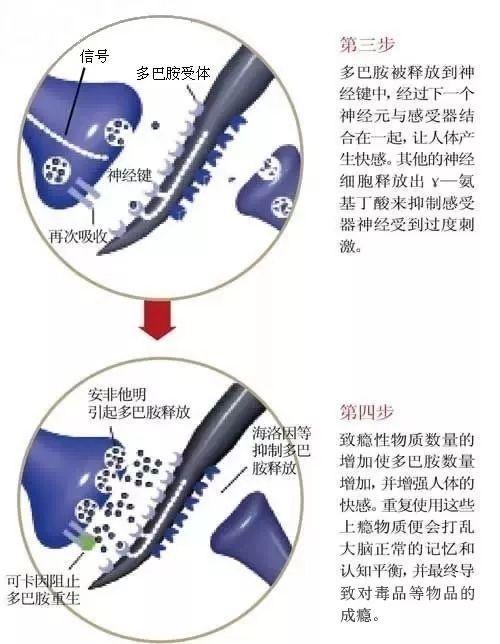 一年级禁毒漫画简单又漂亮,一个禁毒宣传漫画作品