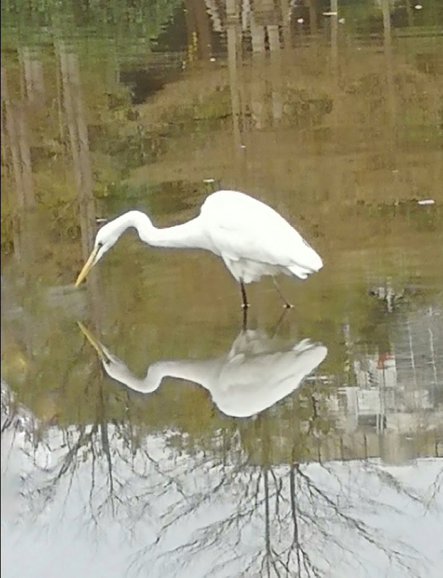 厦门筼筜书院视频,厦门筼筜书院介绍
