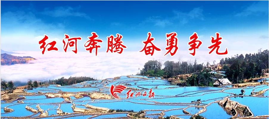 元阳县领导发言,县委经济工作会议精神学习心得