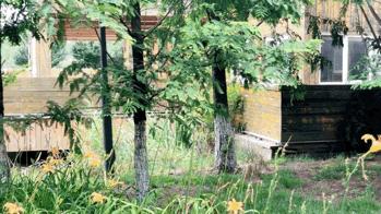 浐灞国家湿地公园最美地方,浐灞湿地公园有啥好玩的