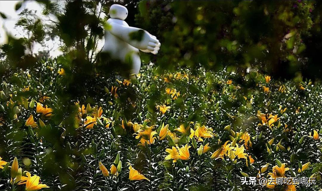 38抢从化宝趣玫瑰世界1大1小票赏春赏花赏美景不负*光春**不负卿