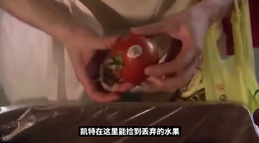 堪称最牛铁公鸡，衣食住行全从垃圾堆里来，美国女白领极端省钱术