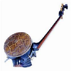 二胡有几个种类,二胡有多少种类