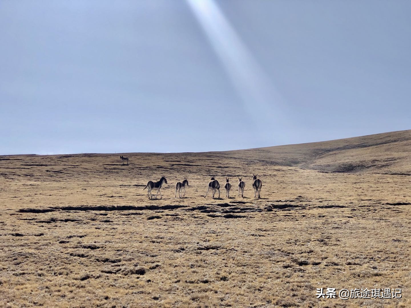 走进黄河三门峡段,探访黄河源头