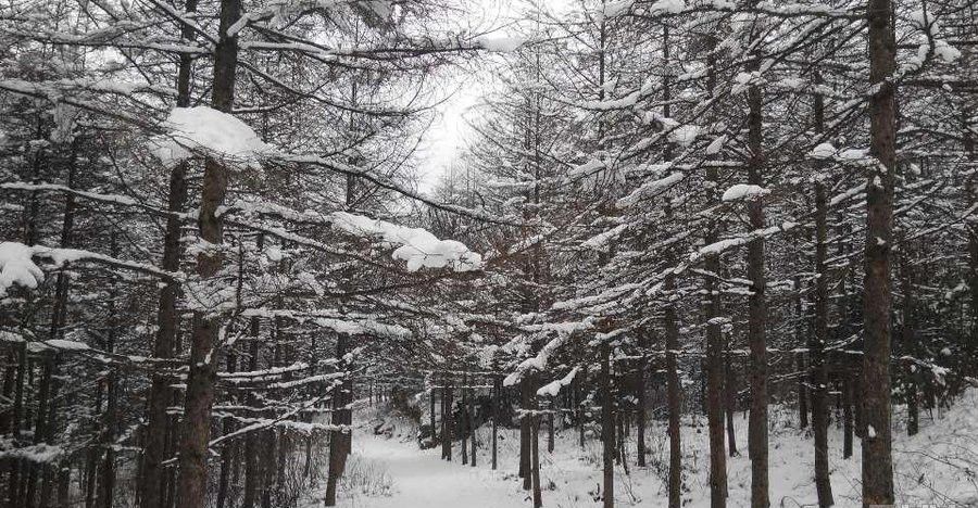 生死之外，再无大事：一位肺癌病人家属的心路历程，看了让人心疼