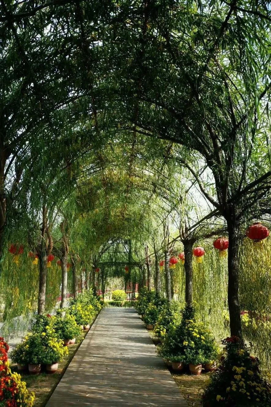 淮阳太昊陵龙园,太昊陵龙园