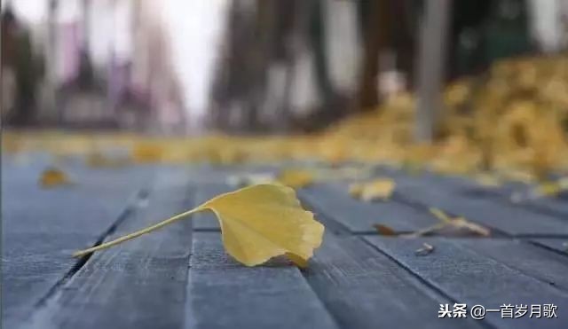 有趣的户外集体游戏幼儿园,适合小朋友玩的户外游戏趣味