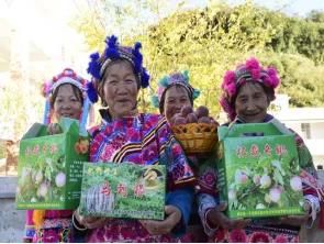 云南禄丰旅游线路攻略图,云南冬季自驾游最佳线路图