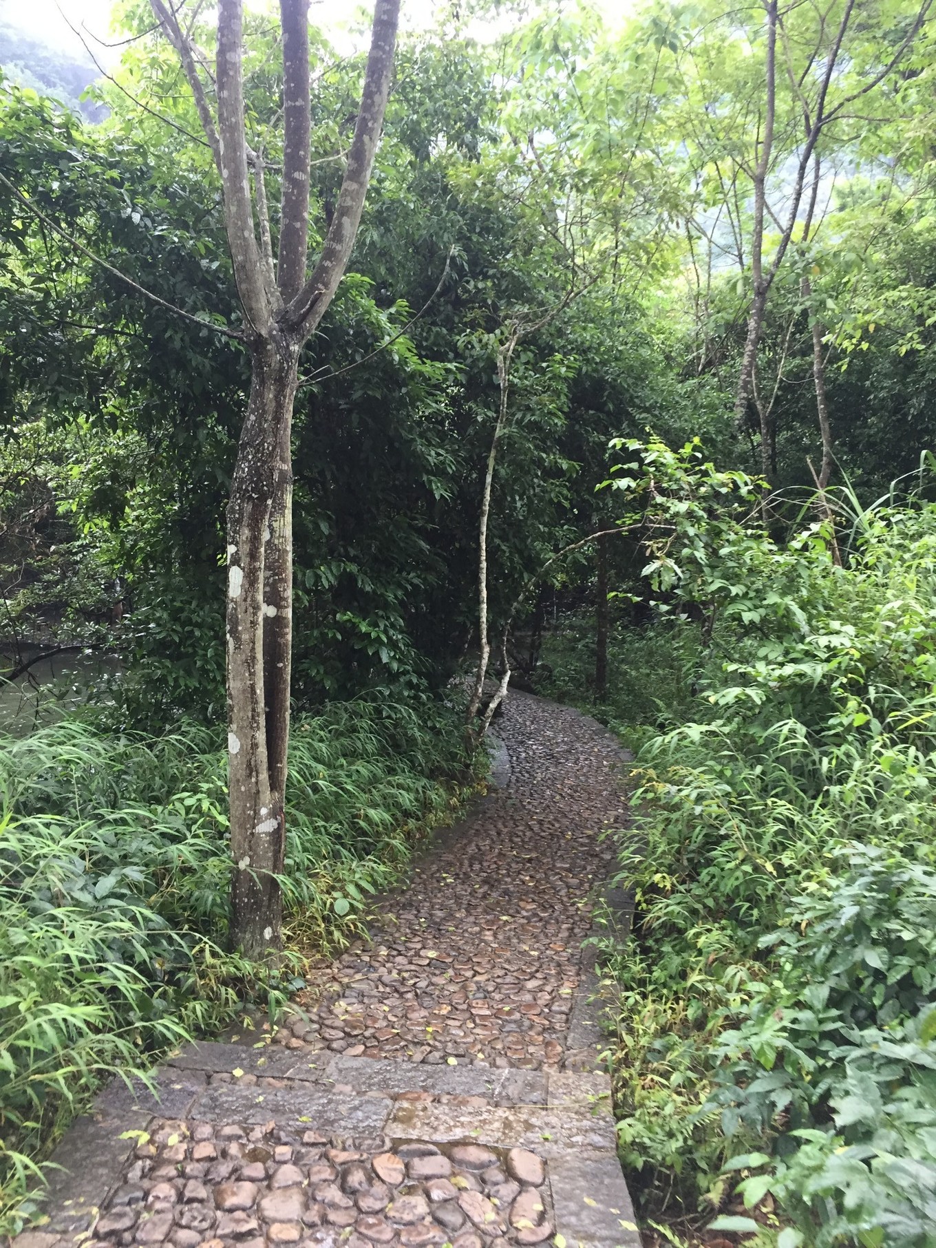 西南有哪些省,西南神秘地区