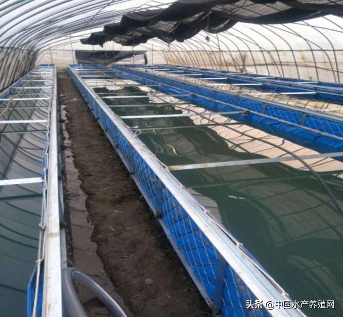 帆布池养殖需要注意什么,帆布池养殖要注意哪些