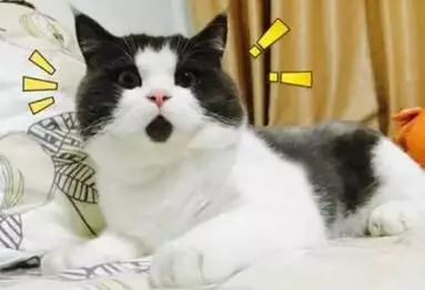 黑眼圈警惕严重疾病,黑眼圈是肝炎的前兆