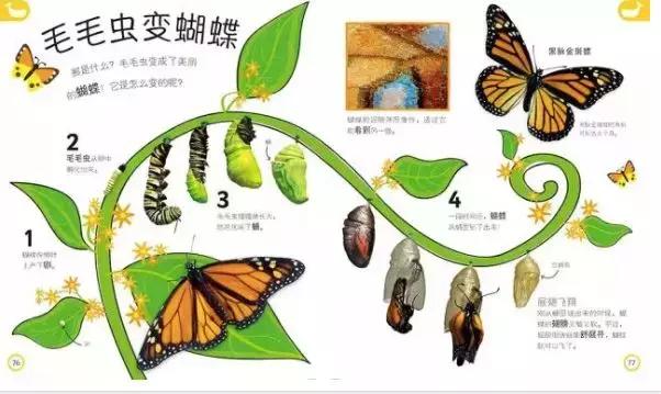 儿童dk哪些书籍值得买,dk儿童书籍推荐