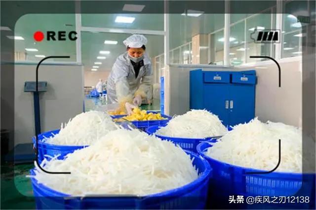 现在农村办什么厂好,目前在农村办一个什么小厂比较好