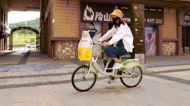 白山之夏旅游,白山4天旅游攻略