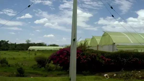 bbc中国探秘纪录片,bbc探秘印尼爪哇古洞