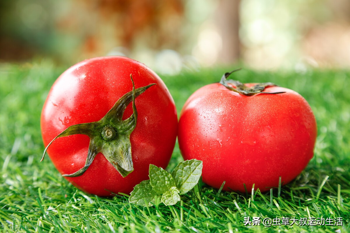 又低脂又具有饱腹感的食物,低碳水饱腹感的食物