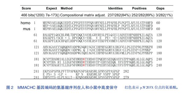 基因治疗——遗传代谢病治疗的新希望