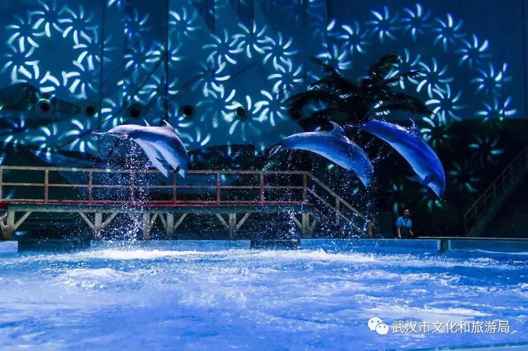 武汉国庆旅游攻略文案,武汉文旅国庆