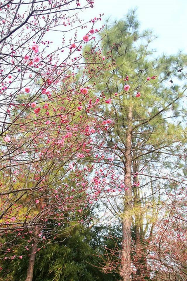 在上海拥有这样一个露台多幸福,在上海有一种温暖叫邻里互助