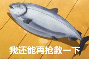 宝宝吃鱼更聪明这七种鱼不能吃,宝宝吃这几种鱼最聪明