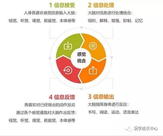 7-12岁孩子的感统训练,感统是什么意思呢