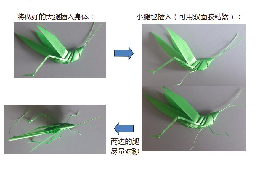 蚂蚱的编织过程图片,蚂蚱的制作方法