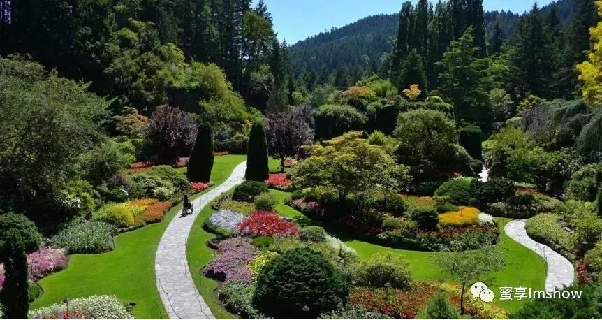 走进爱丽丝梦游仙境,爱丽丝梦游仙境绝美森林