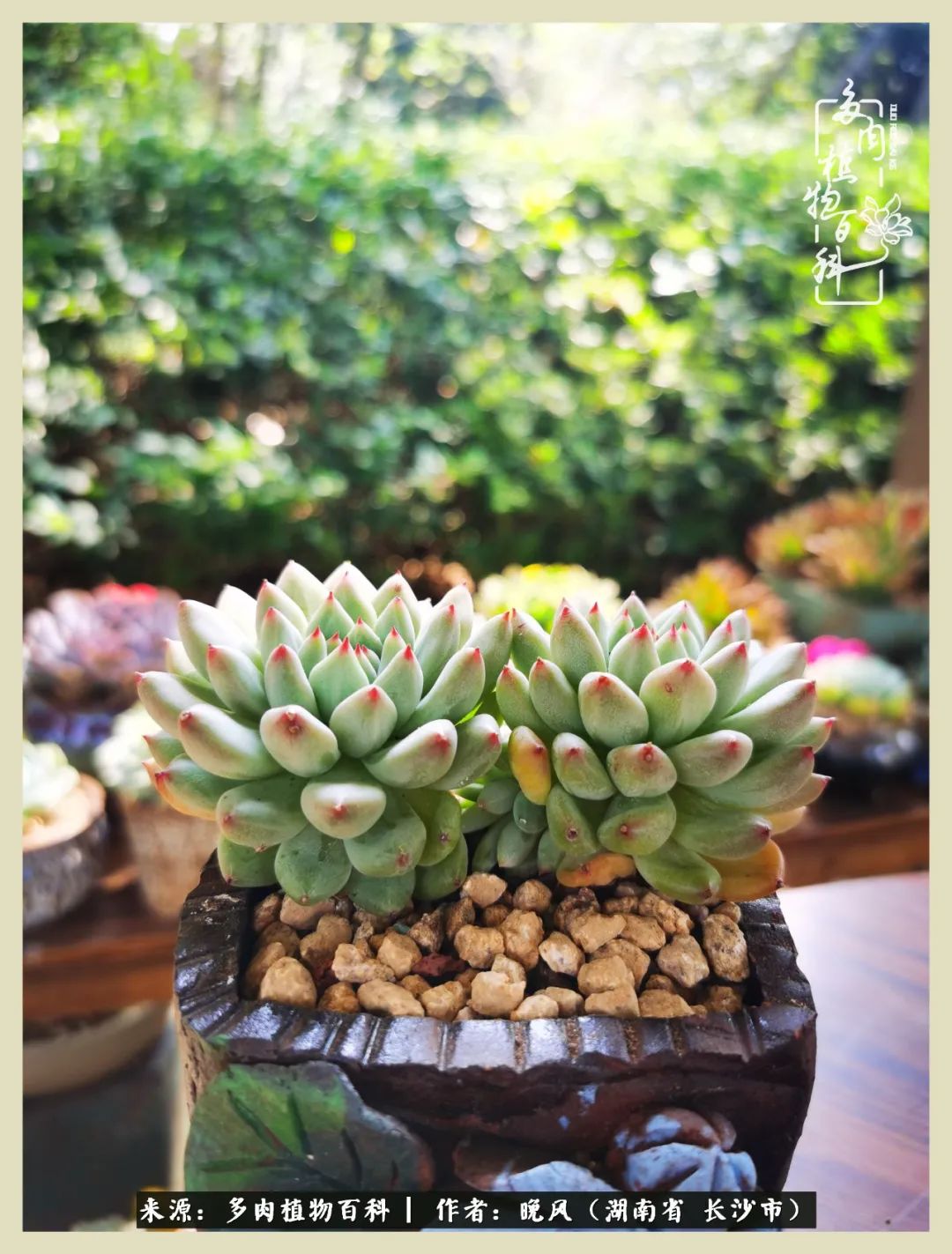 摇身一变成了奶爸,摇身一变成为打工人