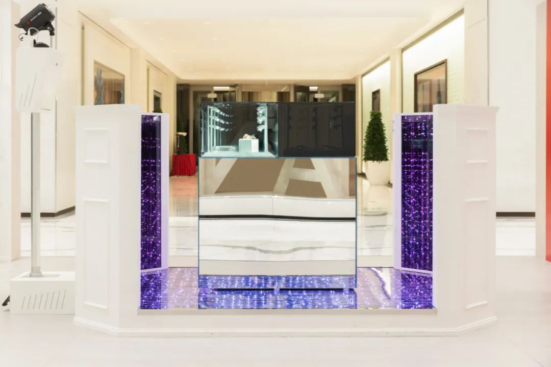 致命女人为什么只更新了一集,致命女人更新了吗