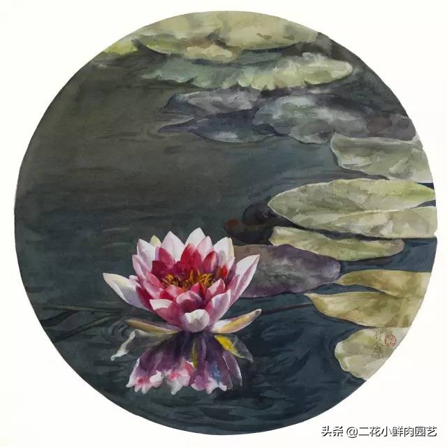 100种花卉绘画,100多张花卉线描手稿素材赶快收藏