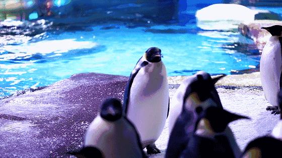 武汉人春节都去哪里玩,武汉人游玩攻略必去景点