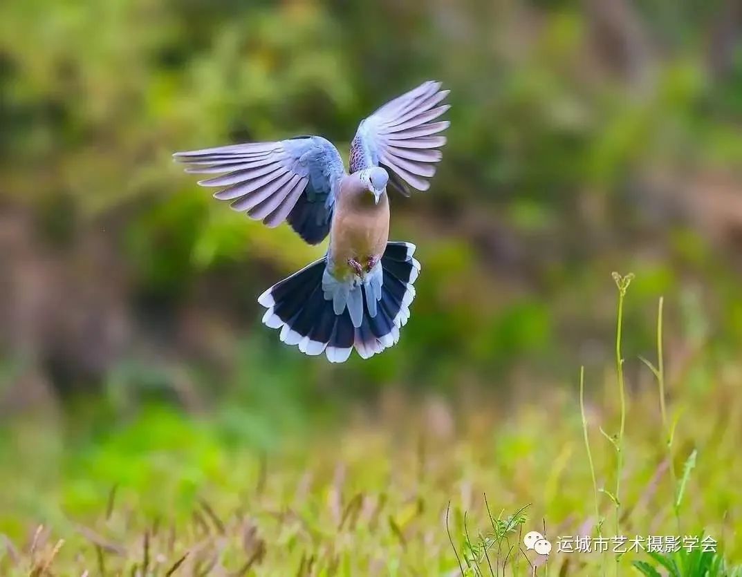 你们听说过死海吗,你听说过海洋中的强大生物吗
