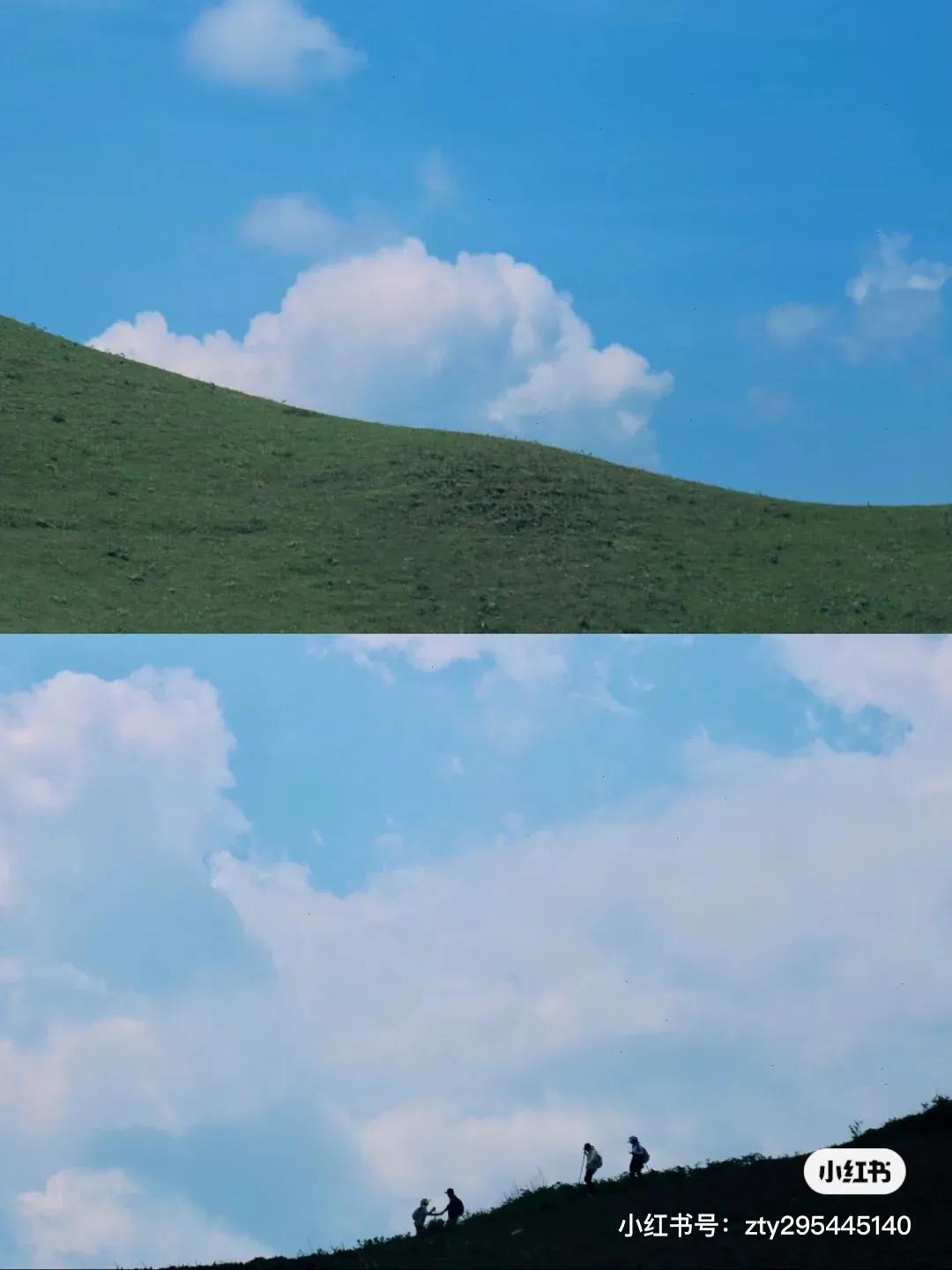 为什么，我一定要劝你来寻甸